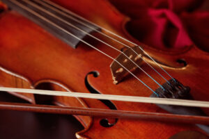 Close-up of a violin