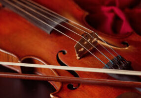 Close-up of a violin